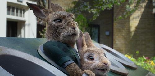 比利和莫莉：水獭的爱情故事,比利与莫莉的爱情传奇