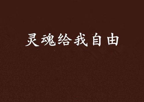 给我自由,探寻自由的真谛