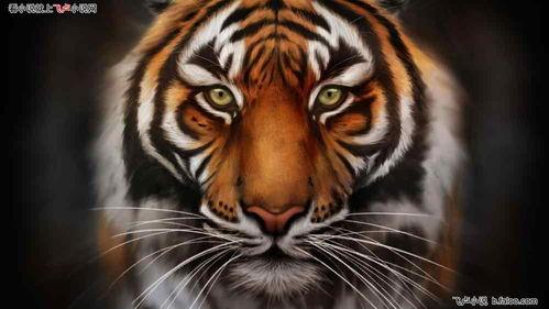 猛兽 1955,1955年惊心动魄的猛兽传奇