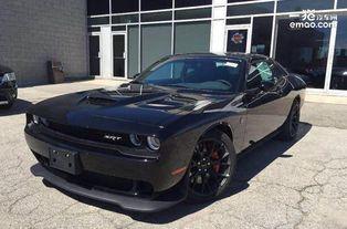 地狱猫,狂野魅影的传奇故事