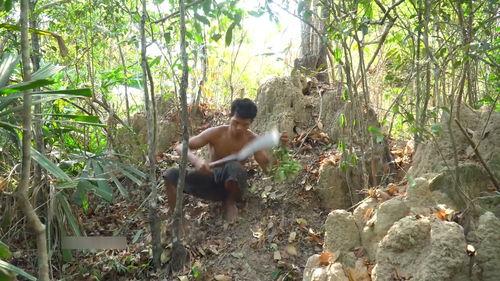 森林里的兄弟,自然和谐共生的生态传奇